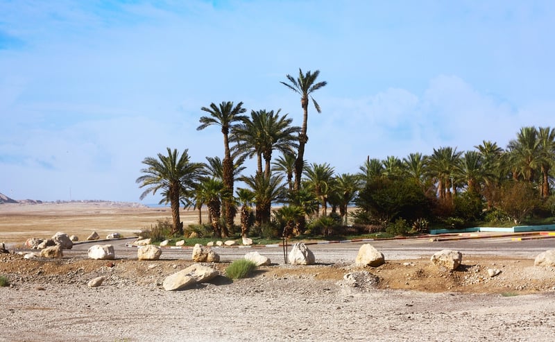 Mystic Oasis